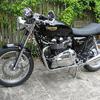 Brand new 2010 Triumph Thruxton - heavily modified in my shop.